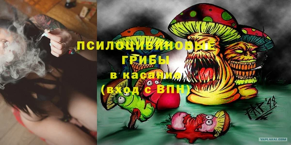 прущие грибы Алексеевка